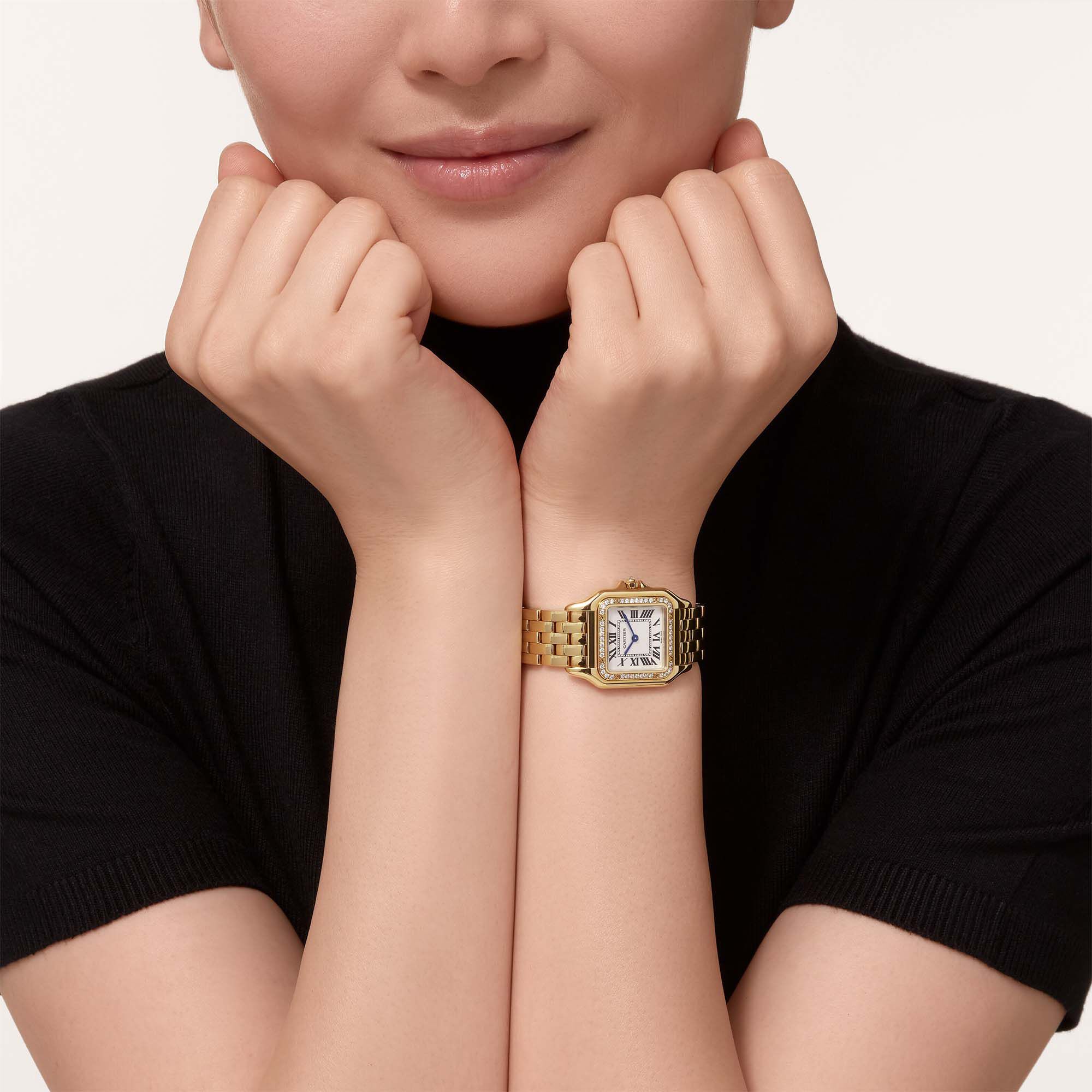 Panthere de cartier medium 2025